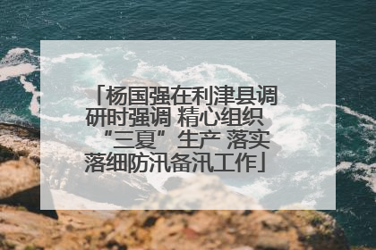 杨国强在利津县调研时强调 精心组织“三夏”生产 落实落细防汛备汛工作