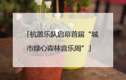杭盖乐队启幕首届“城市绿心森林音乐周”