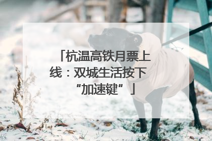 杭温高铁月票上线：双城生活按下“加速键”