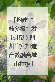 构建“一核多极”发展格局 四川宜宾打造产教融合城市样板