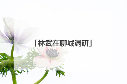 林武在聊城调研