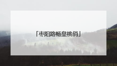 枣阳路畅皇桃俏