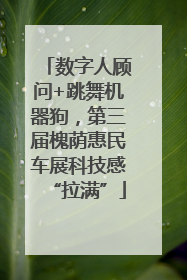 数字人顾问+跳舞机器狗，第三届槐荫惠民车展科技感“拉满”