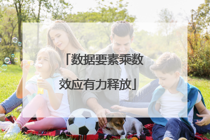 数据要素乘数效应有力释放