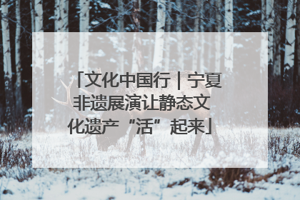 文化中国行｜宁夏 非遗展演让静态文化遗产“活”起来