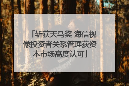 斩获天马奖 海信视像投资者关系管理获资本市场高度认可