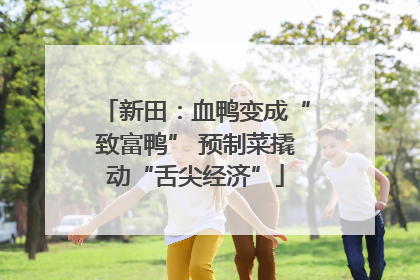 新田：血鸭变成“致富鸭” 预制菜撬动“舌尖经济”