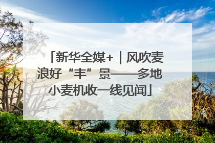 新华全媒+｜风吹麦浪好“丰”景——多地小麦机收一线见闻