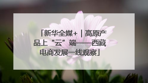 新华全媒+｜高原产品上“云”端——西藏电商发展一线观察