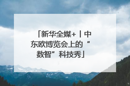 新华全媒+丨中东欧博览会上的“数智”科技秀