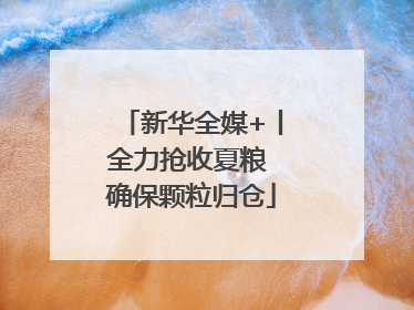 新华全媒+丨全力抢收夏粮 确保颗粒归仓