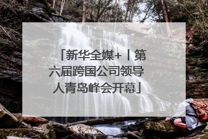 新华全媒+丨第六届跨国公司领导人青岛峰会开幕