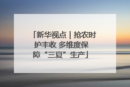新华视点｜抢农时 护丰收 多维度保障“三夏”生产