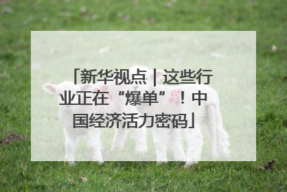 新华视点｜这些行业正在“爆单”！中国经济活力密码
