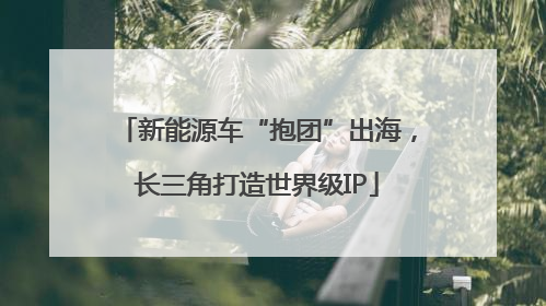 新能源车“抱团”出海，长三角打造世界级IP