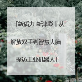新质力 新津彩丨从解放双手到智慧大脑 探访工业机器人