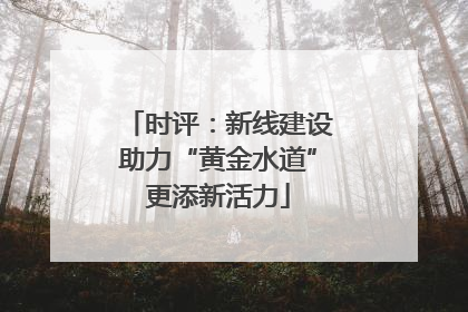 时评：新线建设助力“黄金水道”更添新活力
