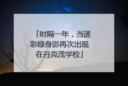 时隔一年，当迷彩绿身影再次出现在丹克茂学校