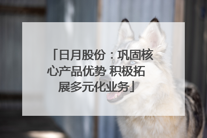 日月股份：巩固核心产品优势 积极拓展多元化业务