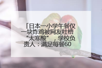 日本一小学午餐仅一块炸鸡被网友吐槽“太寒酸”，学校负责人：满足每餐600千卡的标准