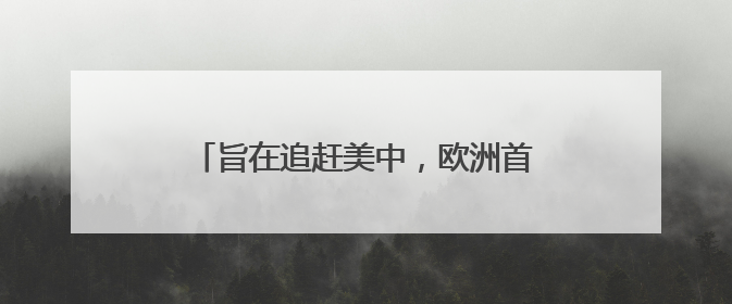 旨在追赶美中，欧洲首个AI推理模型来了