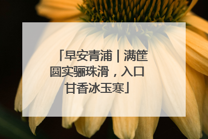 早安青浦｜满筐圆实骊珠滑，入口甘香冰玉寒