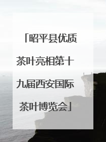 昭平县优质茶叶亮相第十九届西安国际茶叶博览会