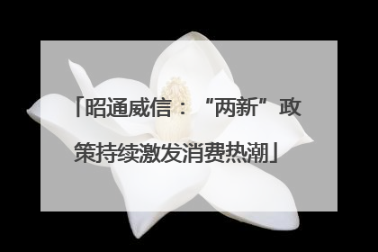 昭通威信：“两新”政策持续激发消费热潮