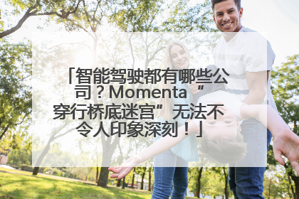 智能驾驶都有哪些公司？Momenta“穿行桥底迷宫”无法不令人印象深刻！