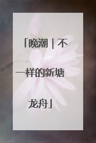 晚潮｜不一样的新塘龙舟