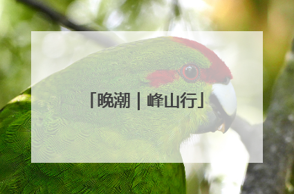 晚潮｜峰山行
