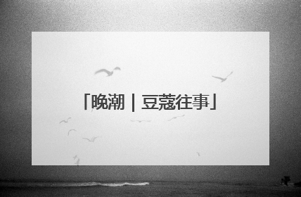 晚潮｜豆蔻往事