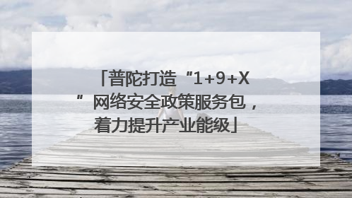 普陀打造“1+9+X”网络安全政策服务包，着力提升产业能级