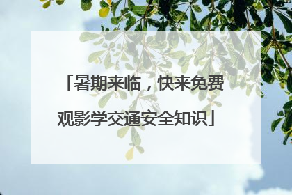 暑期来临，快来免费观影学交通安全知识