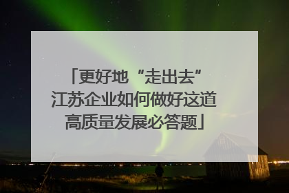 更好地“走出去” 江苏企业如何做好这道高质量发展必答题