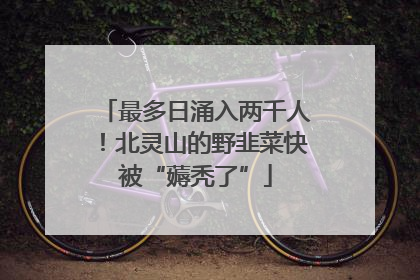 最多日涌入两千人！北灵山的野韭菜快被“薅秃了”