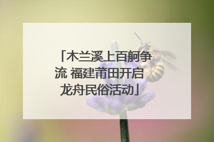 木兰溪上百舸争流 福建莆田开启龙舟民俗活动