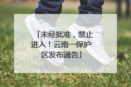 未经批准，禁止进入！云南一保护区发布通告