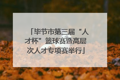 毕节市第三届“人才杯”篮球赛暨高层次人才专项赛举行
