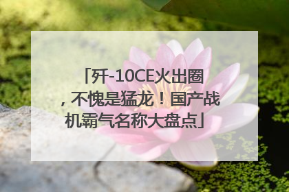 歼-10CE火出圈，不愧是猛龙！国产战机霸气名称大盘点