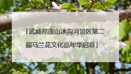 武威祁连山冰沟河景区第二届马兰花文化嘉年华启幕