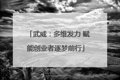 武威：多维发力 赋能创业者逐梦前行