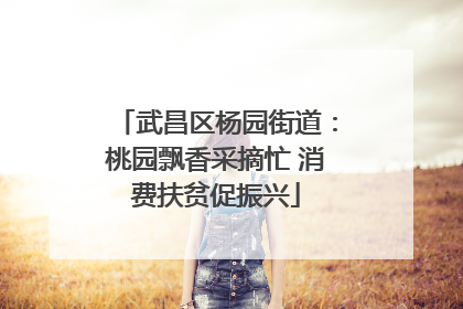 武昌区杨园街道：桃园飘香采摘忙 消费扶贫促振兴
