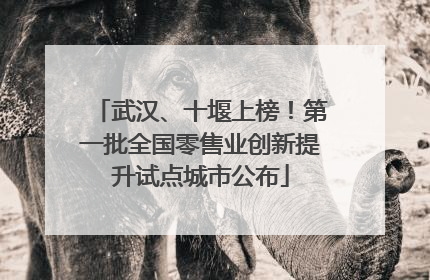 武汉、十堰上榜！第一批全国零售业创新提升试点城市公布