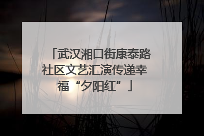 武汉湘口街康泰路社区文艺汇演传递幸福“夕阳红”
