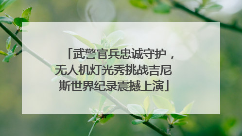 武警官兵忠诚守护，无人机灯光秀挑战吉尼斯世界纪录震撼上演