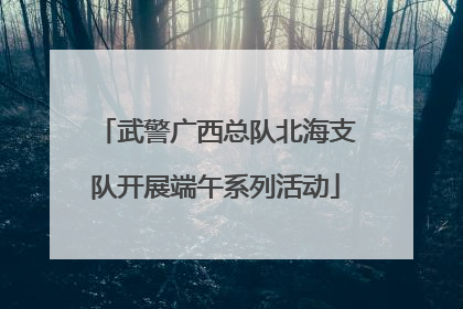 武警广西总队北海支队开展端午系列活动
