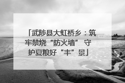 武陟县大虹桥乡：筑牢禁烧“防火墙” 守护夏粮好“丰”景