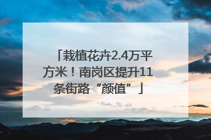 栽植花卉2.4万平方米！南岗区提升11条街路“颜值”