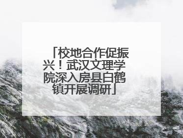 校地合作促振兴！武汉文理学院深入房县白鹤镇开展调研